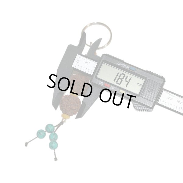 画像3: ネパール産 ルドラクシャ 18mm玉 5ムキ(面) キーホルダー 菩提樹種子 五大元素の調和 お守り 送185 (3)